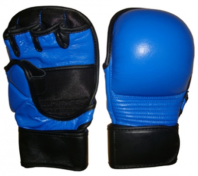 MMA Gloves